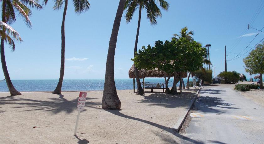 a beach with palm trees and palm trees, Matecumbe Resort in Islamorada (FL)