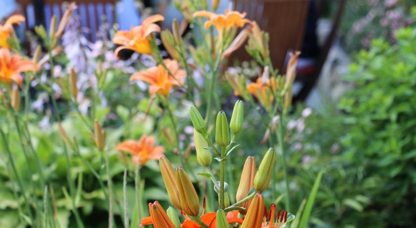 レンブルッフ Hotel Garni Zur Alten Post 3つ星 ホテル スイート