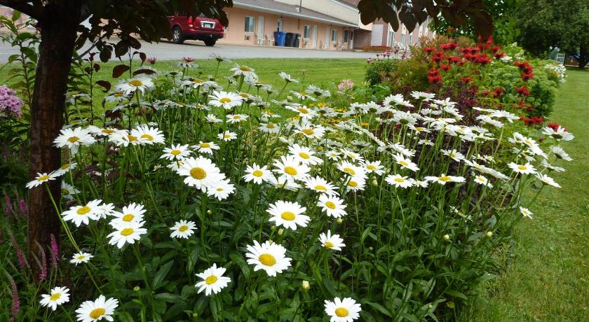 Motel Becancour photo