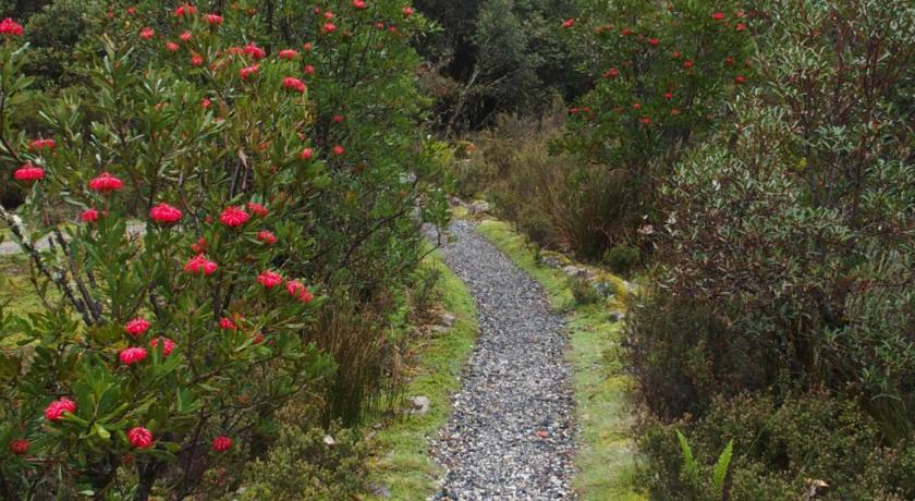 Cradle Mountain Highlanders