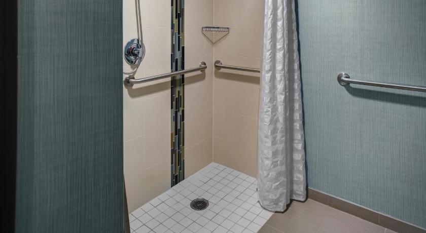 Image of 1 King Bed Accessible Tub 6