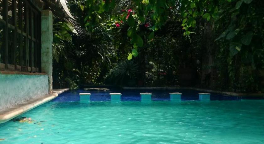 Jungle Lodge CANCUN photo