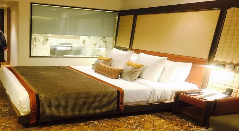 Sayaji Hotel photo