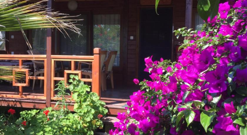 Çıralı Villa Zeytin
