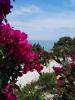 Bouganville Studios Stegna