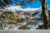 Pure Chalet Thredbo