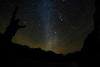 Wadi Rum Shooting Stars Camp