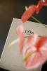 Boutique Hotel Das Tigra