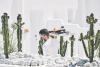 Mykonos No5 Luxury Suites & Villas