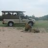 Mzsingitana Tented Camp