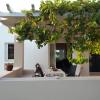 Villa Leonidas