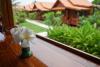 Thai House Resort