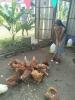 Sean Sabai Home e Ristobar