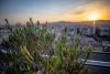 Radisson Blu Park Hotel Athens