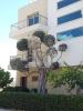 Kerynia Apartments