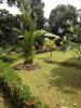 Bambua Nature Cottages