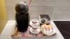 Athenian Vintage Apartments