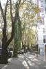 Haris Apartments Tirana