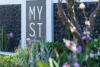 Myst Boutique Hotel