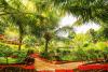 Zulu Land cottages - near Curlies beach shack and shiva valley - Anjuna beach