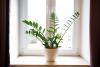Apartamenty Vilda