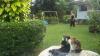Sean Sabai Home e Ristobar