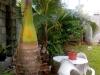 Corner Bay Apartments Beau Vallon,Mahe