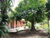 Aracari Garden Hostel