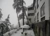Honeymoon Inn Shimla
