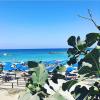 FIG TREE GIANNIS