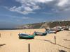 Atlantic Nest Nazaré