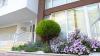 Duplex