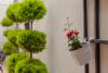 HOTEL BLOOM