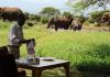 AA Lodge Amboseli