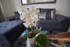 Metropole Apartments Old Town