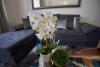Metropole Apartments Old Town