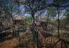 Pezulu Tree House Lodge