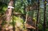 LivingStone Ojuven Treehouses