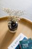Central Cozy Apartments in Plaka by UPSTREET