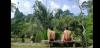 Baan Hinlad Home and Hostel