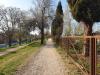 DIVINA SAN ZENO