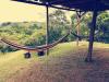 Cecropia Ecolodge