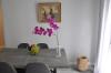 Athens Historic Centre Renovated Apartments
