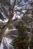 Pure Chalet Thredbo