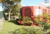 Albaricoques Vivac Bungalow
