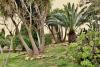 Finca Randa, Llucmayor, bis 3 SZ, Pool, Garten