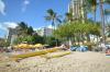 Sea Shore 75 Steps from Waikiki Beach and Sleeps 1 - 3!