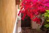 Lefkada Town Traditional House / Cozy Yard