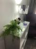 Alojamento Requinte