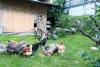 Apart Central – Premium Mountain&Garden